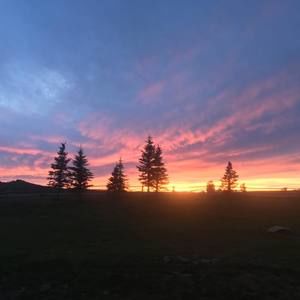 Meet your Posher, Stephen